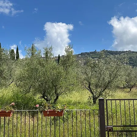 La Terrazza Degli Ulivi - View Διαμέρισμα *