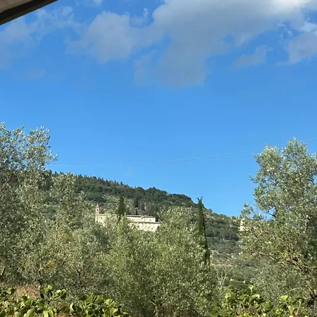 Διαμέρισμα La Terrazza Degli Ulivi - View Κορτόνα
